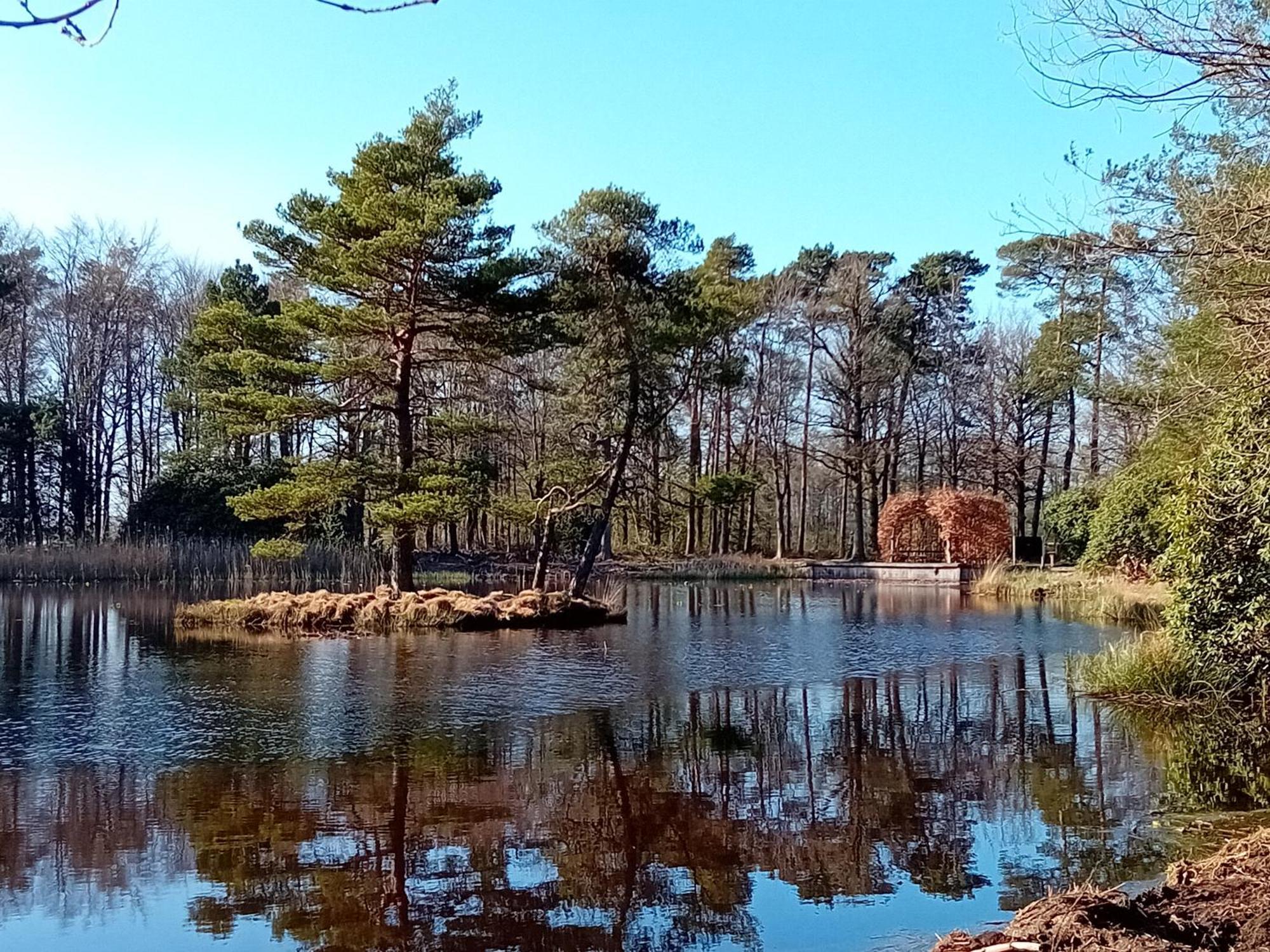 B&B Stripsein Wijnjewoude 外观 照片
